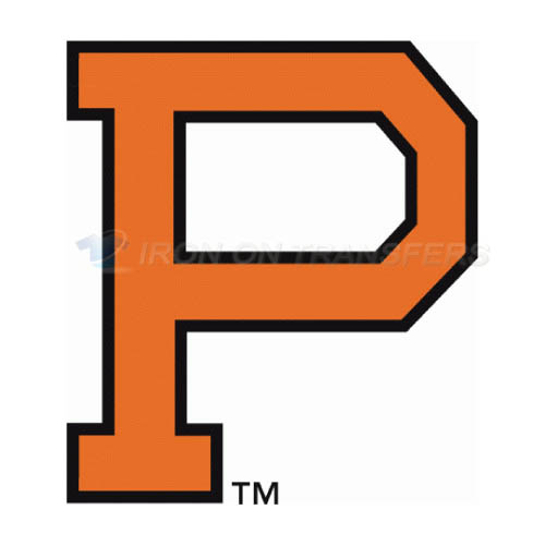 Princeton Tigers Logo T-shirts Iron On Transfers N5930